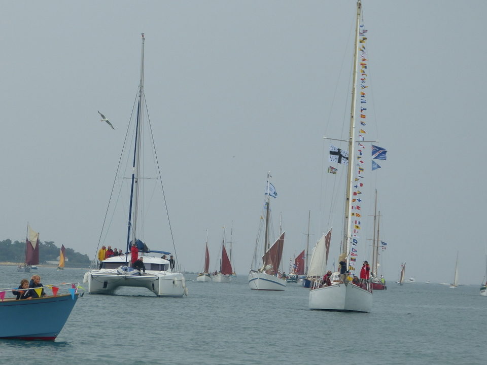 Ars-en-Ré - Fête de la sardine et du port 2013