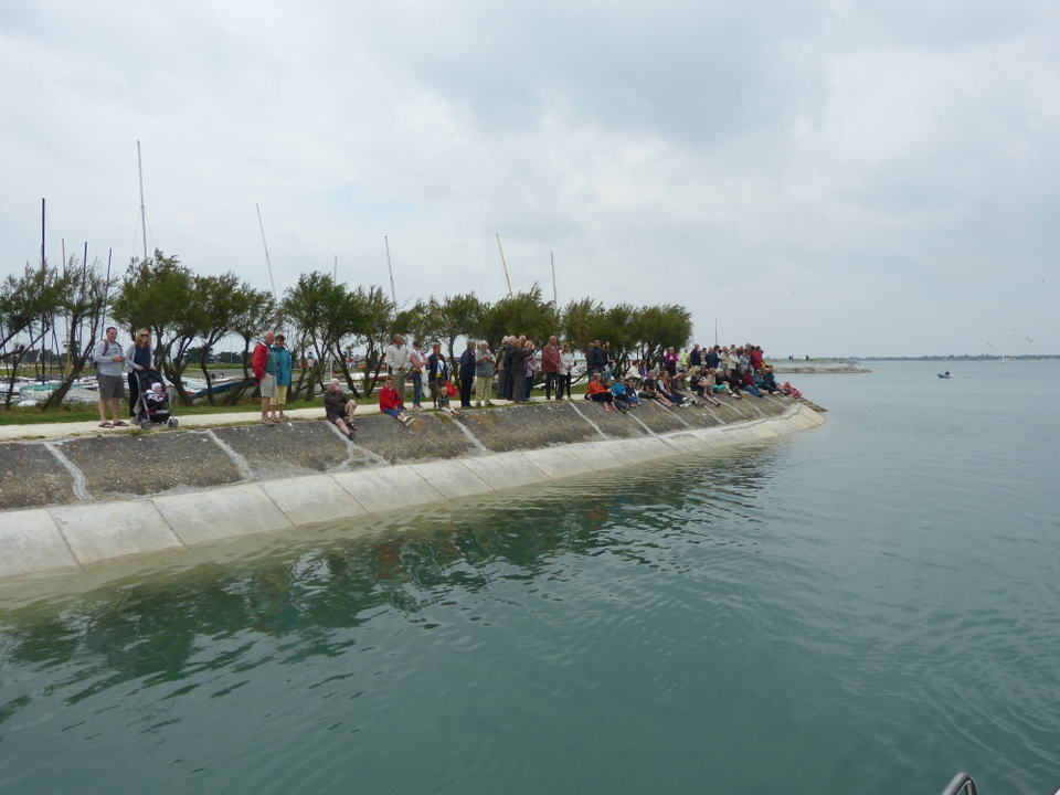 Ars-en-Ré - Sur les quais - Fête de la sardine et du port 2013