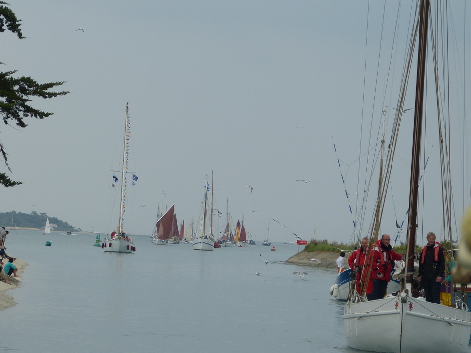 Ars-en-Ré - Fête de la sardine et du port 2013