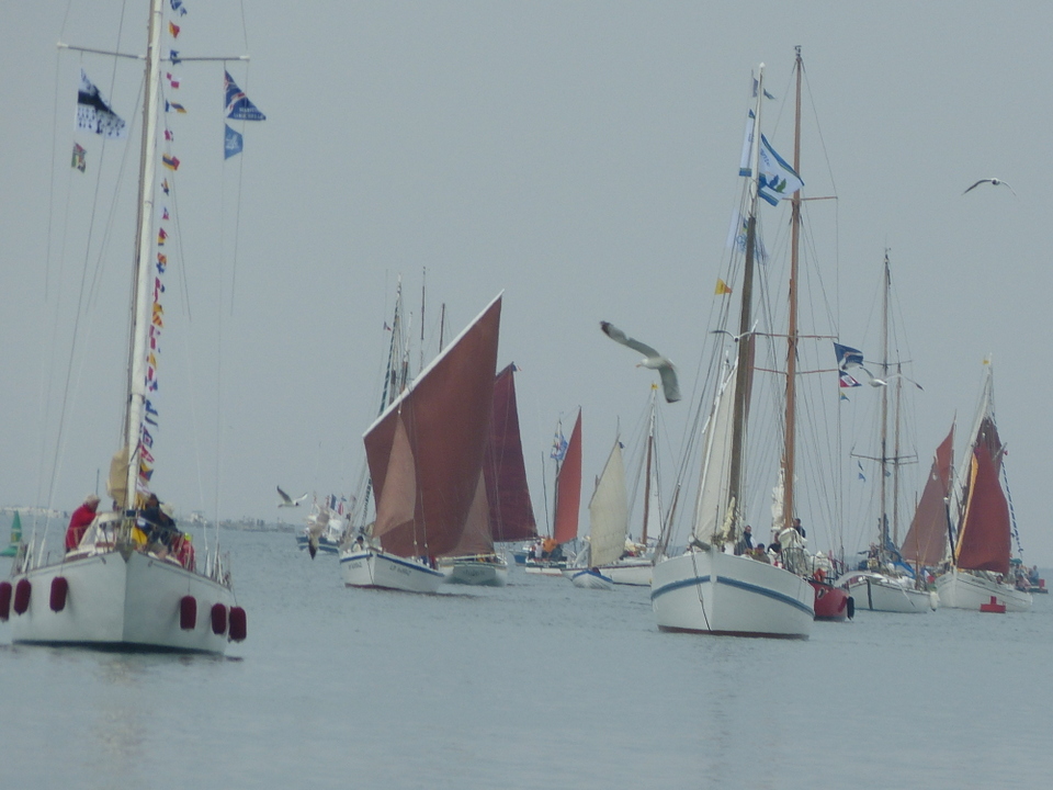 Ars-en-Ré - Fête de la sardine et du port 2013