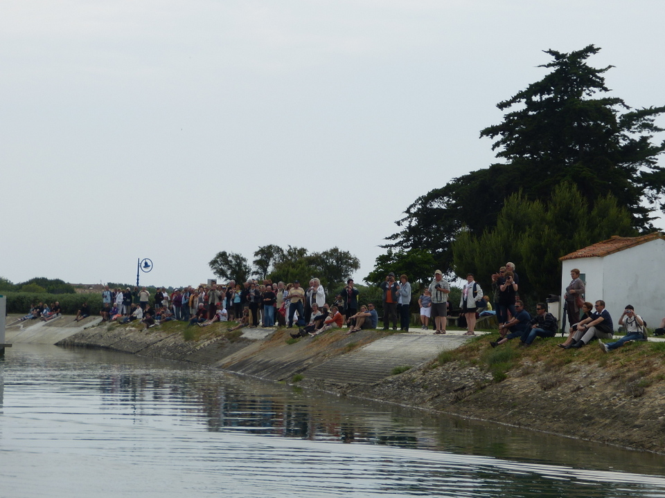 Ars-en-Ré - Sur les quais - Fête de la sardine et du port 2013