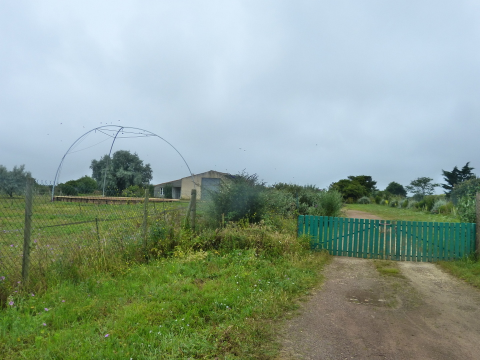 Haras du Passage – Loix Haras du Passage - Loix