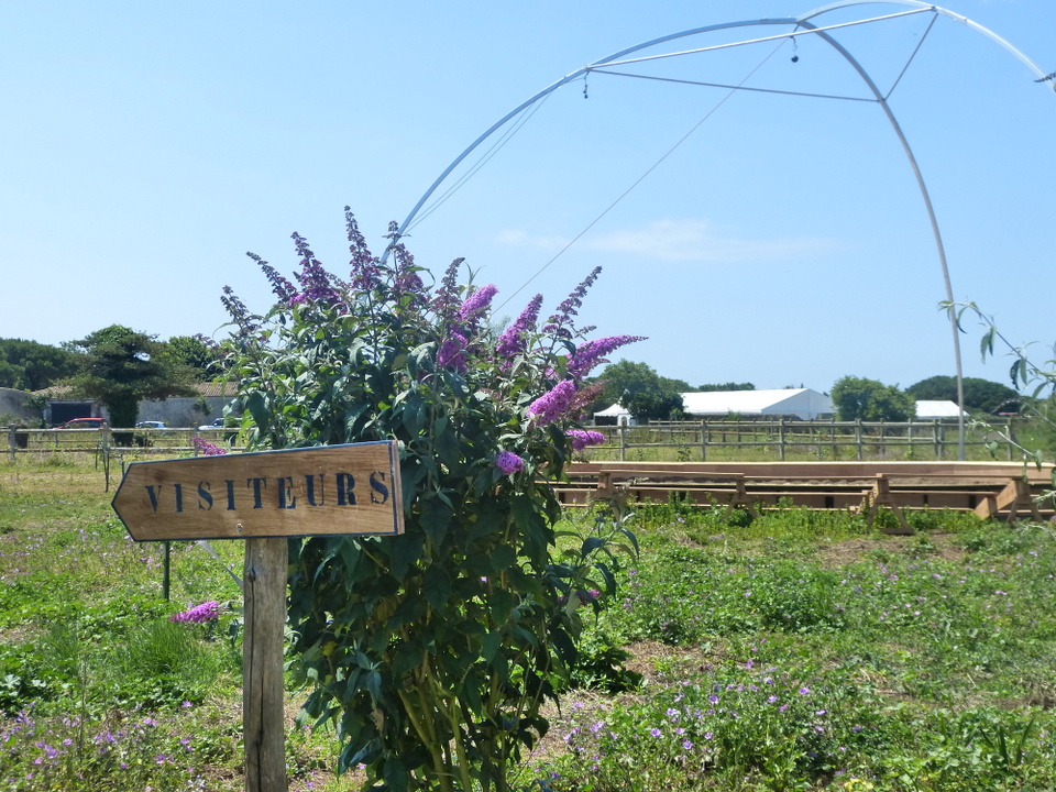 Manu Bigarnet – Installation de la piste – 7 juillet Manu Bigarnet - Installation de la piste - 7 juillet