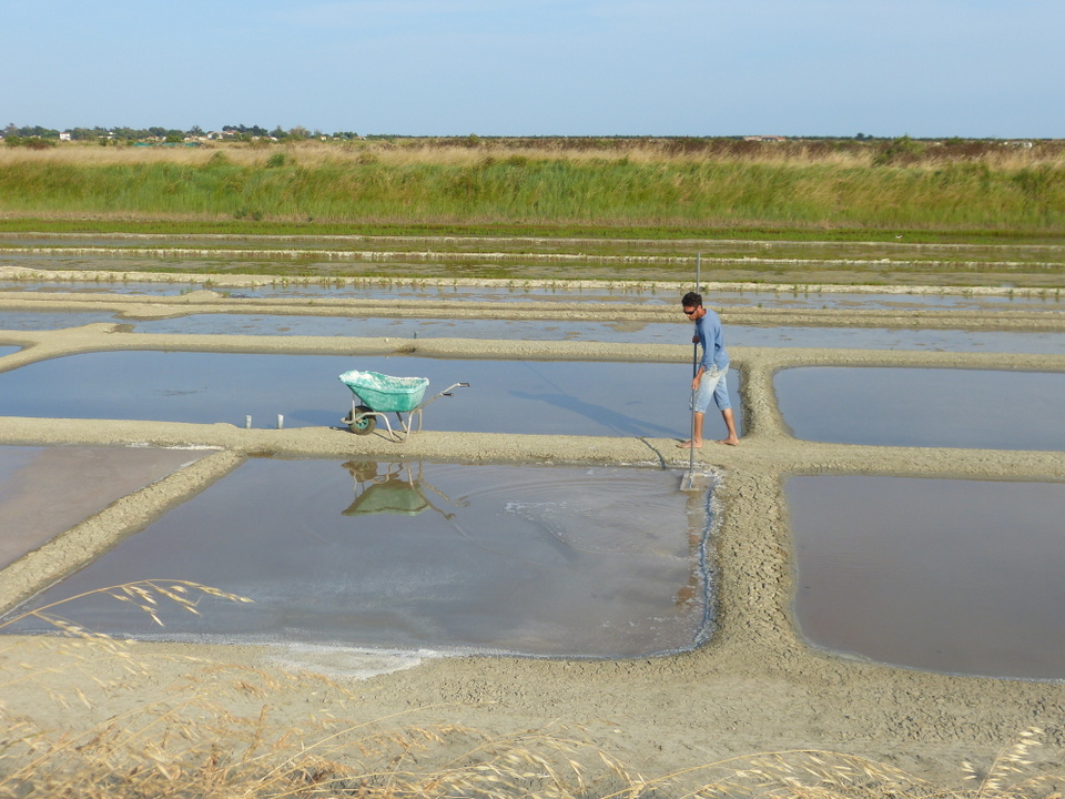 12 juillet 2013 - Marais salant