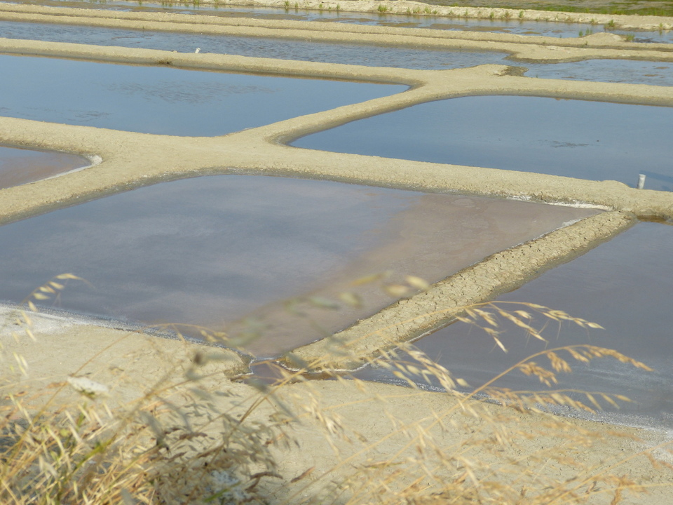 12 juillet 2013 - Marais salant