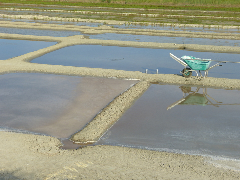 12 juillet 2013 - Marais salant