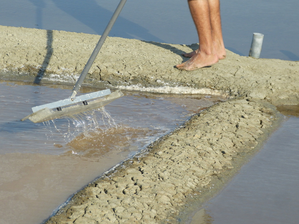 12 juillet 2013 - Marais salant