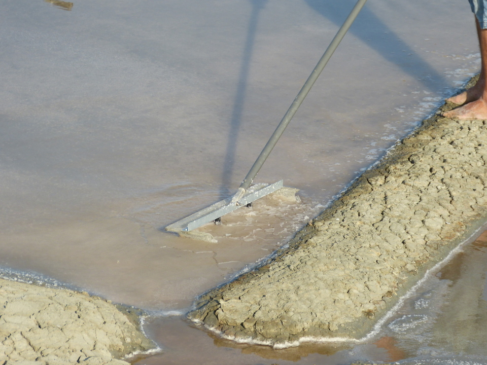 12 juillet 2013 - Marais salant