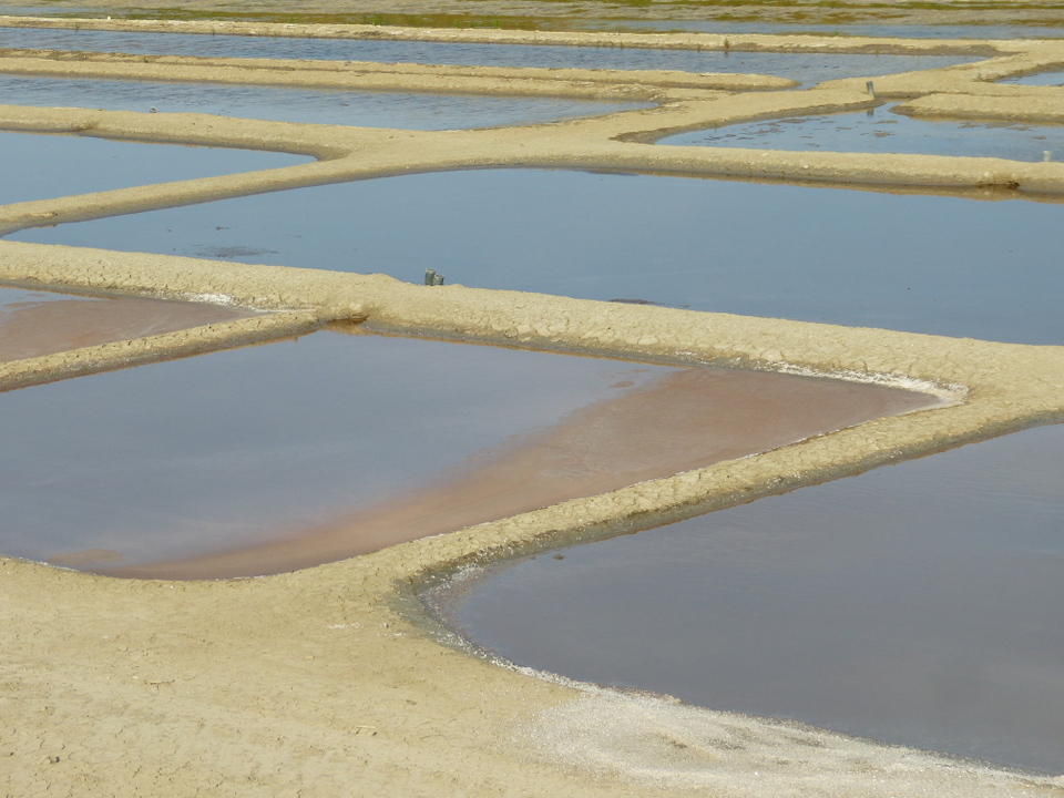 12 juillet 2013 - Marais salant