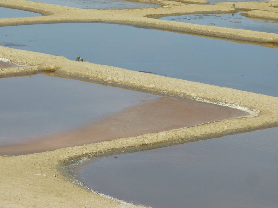 12 juillet 2013 - Marais salant