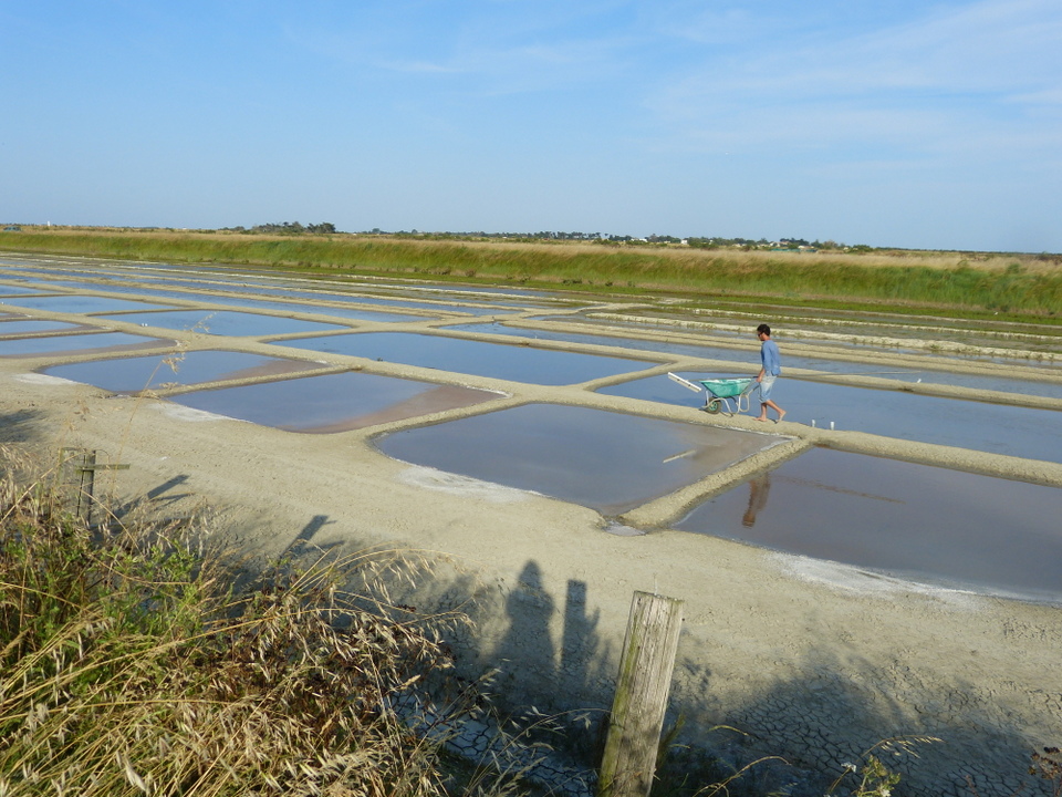 12 juillet 2013 - Marais salant