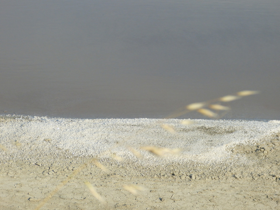 12 juillet 2013 - Marais salant