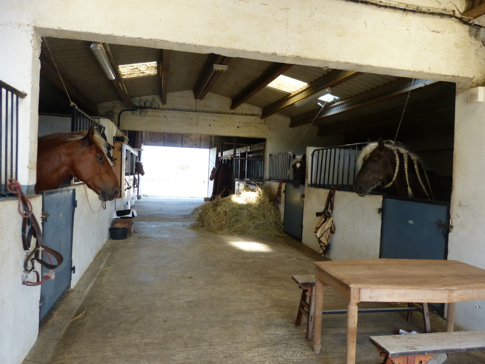 Haras du Passage – Loix Haras du Passage - Loix