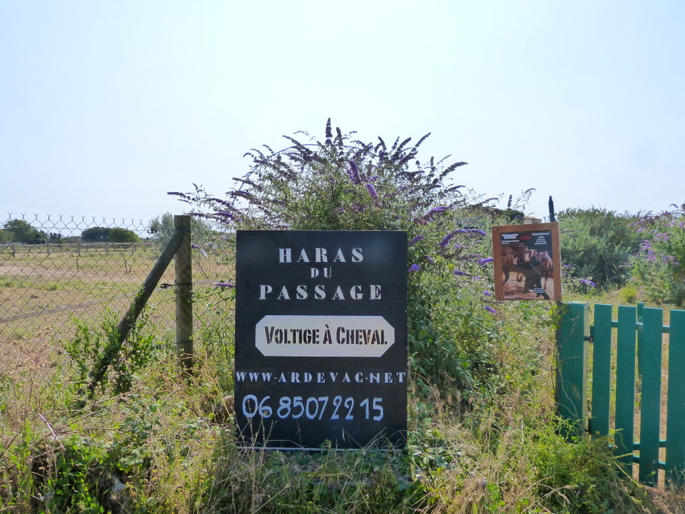 Haras du Passage – Loix Haras du Passage - Loix