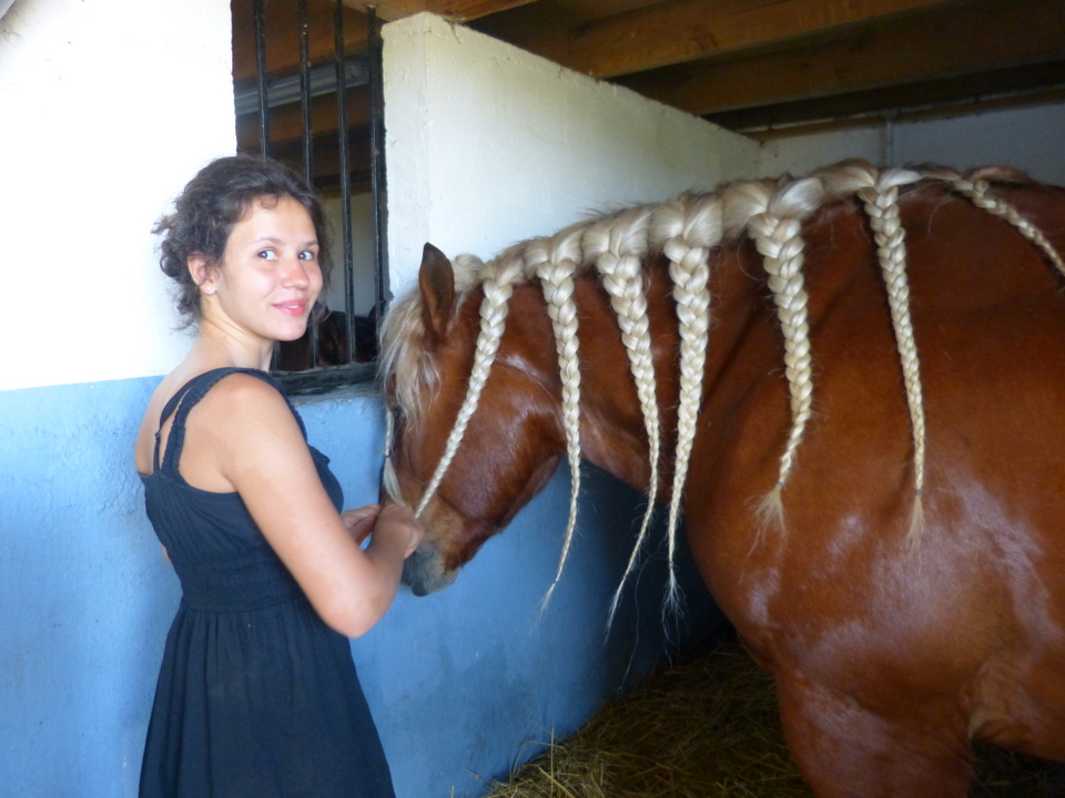 Fanny, cavalière-soigneuse, tresse le crin de Tisko. Fanny, cavalière-soigneuse, tresse le crin de Tisko.