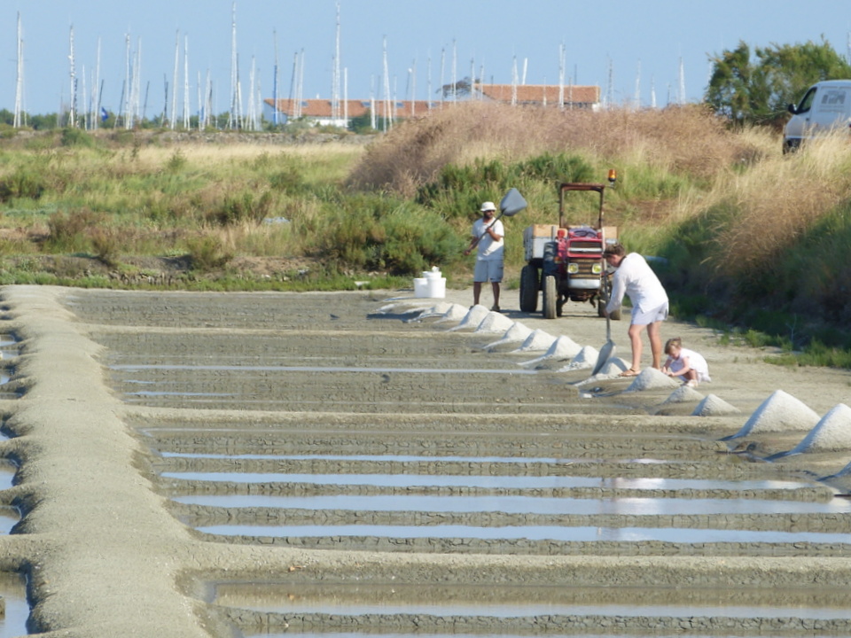 Marais en famille - 18 juillet