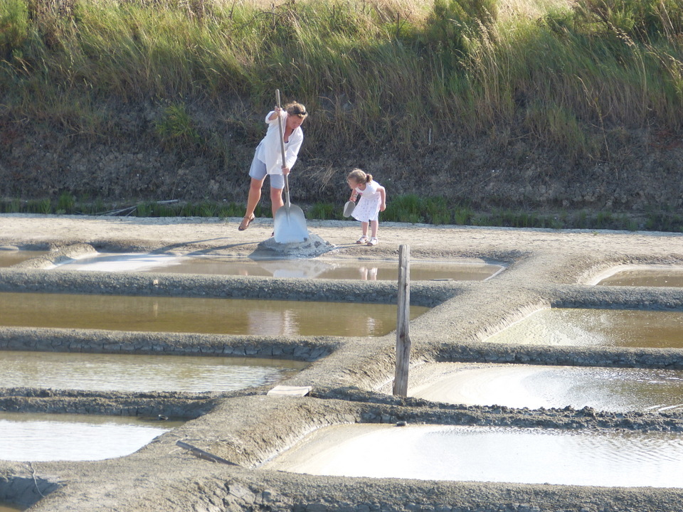 Marais en famille - 18 juillet