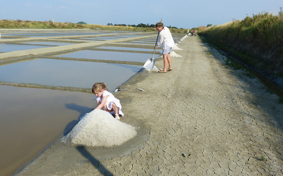 Marais en famille - 18 juillet