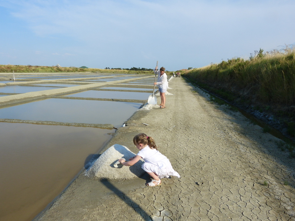 Marais en famille - 18 juillet