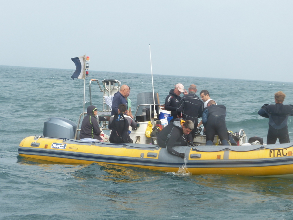 1er août 2013 - Réintroduction homard