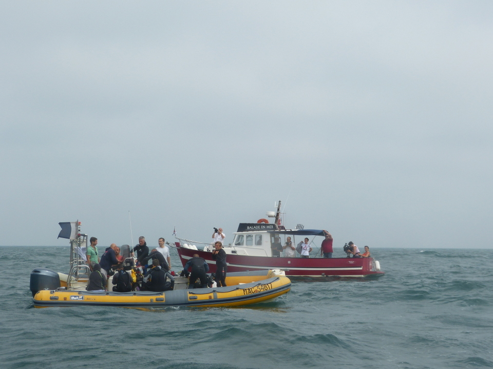 1er août 2013 - Réintroduction homard