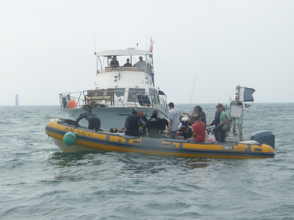 1er août 2013 - Réintroduction homard