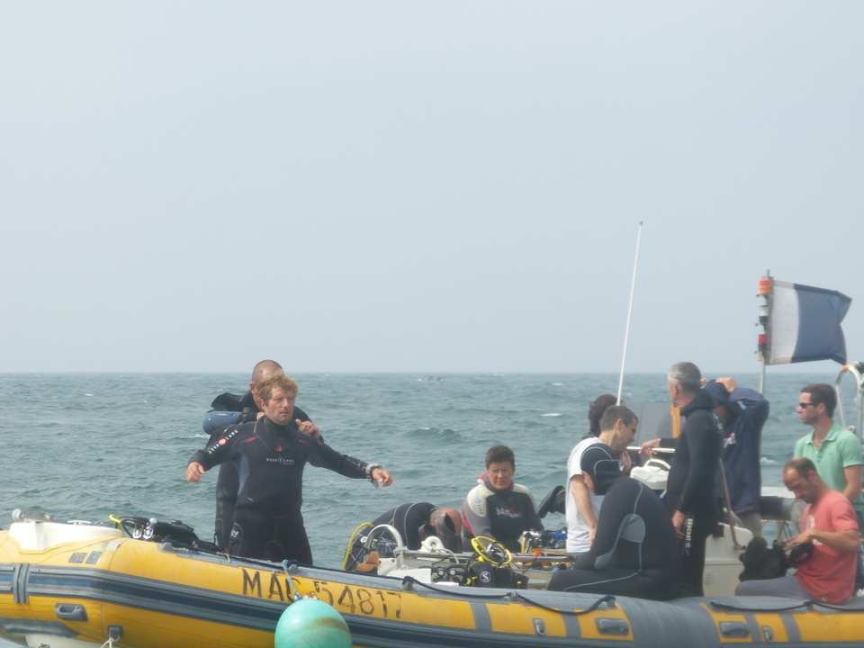 1er août 2013 - Réintroduction homard