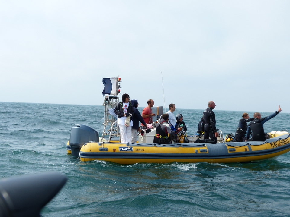 1er août 2013 - Réintroduction homard