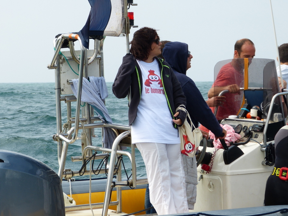 1er août 2013 - Réintroduction homard