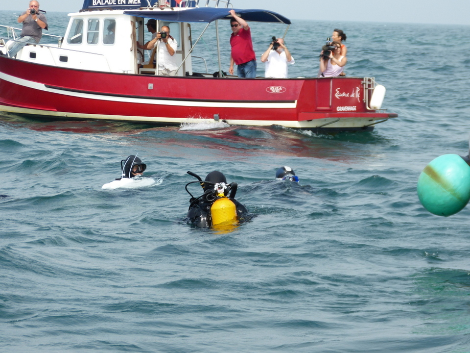 1er août 2013 - Réintroduction homard