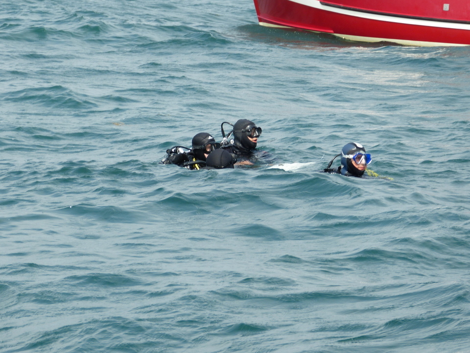 1er août 2013 - Réintroduction homard