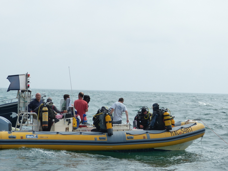 1er août 2013 - Réintroduction homard