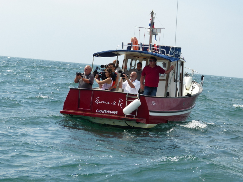 1er août 2013 - Réintroduction homard