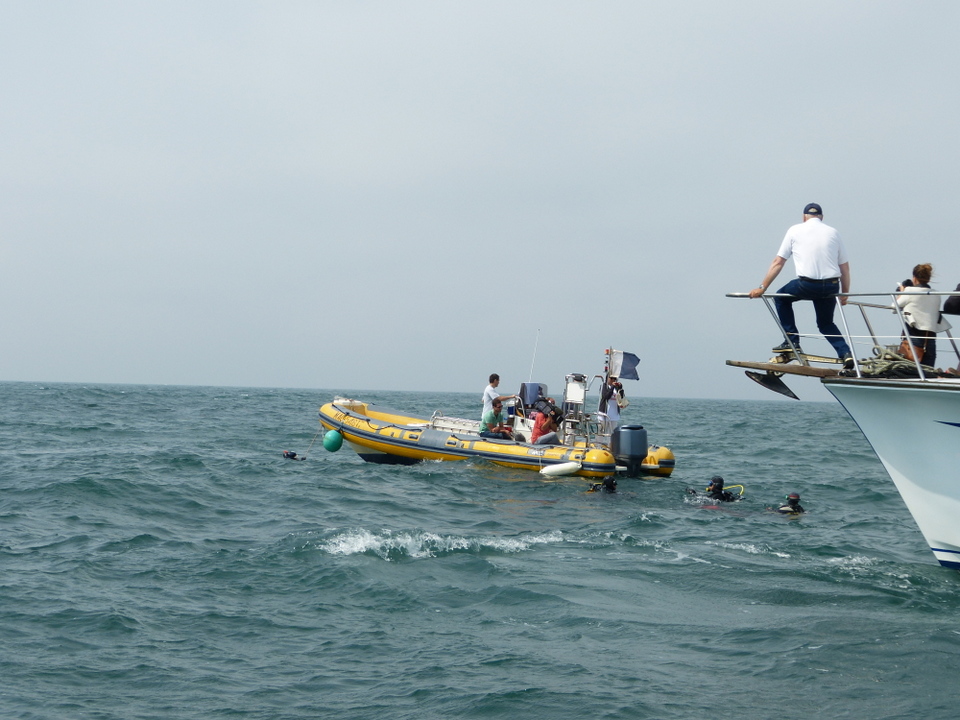 1er août 2013 - Réintroduction homard