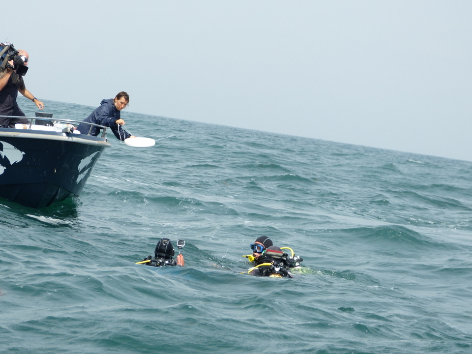 1er août 2013 - Réintroduction homard