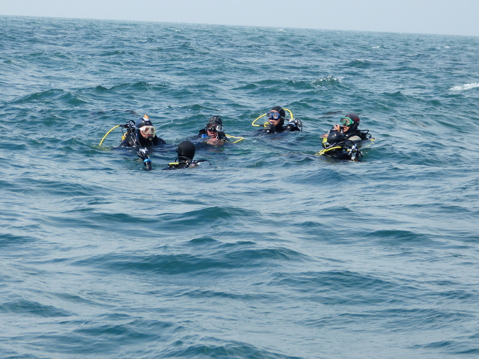 1er août 2013 - Réintroduction homard