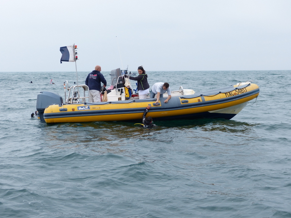 1er août 2013 - Réintroduction homard