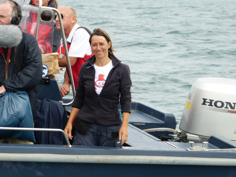 1er août 2013 - Réintroduction homard