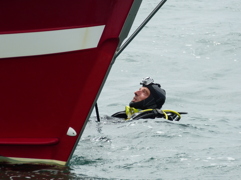 1er août 2013 - Réintroduction homard