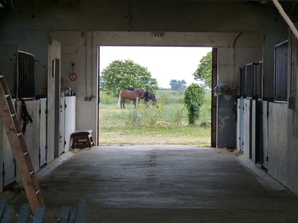 Loix - Haras du Passage