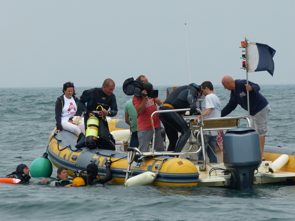 1er août 2013 - Réintroduction homard