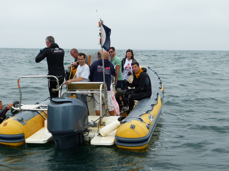 1er août 2013 - Réintroduction homard