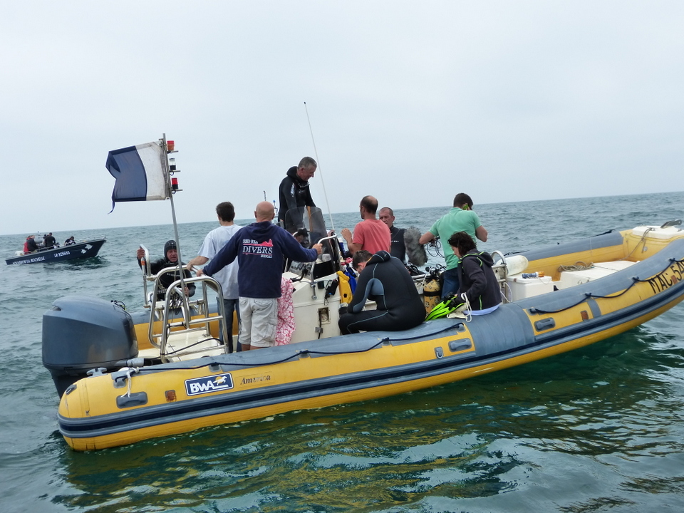 1er août 2013 - Réintroduction homard