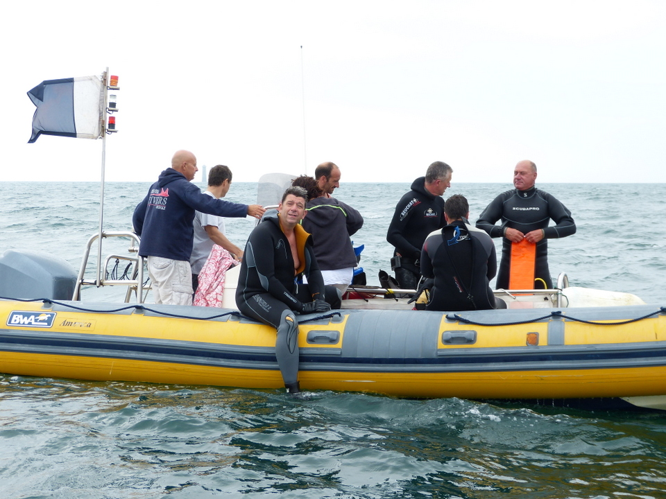 1er août 2013 - Réintroduction homard