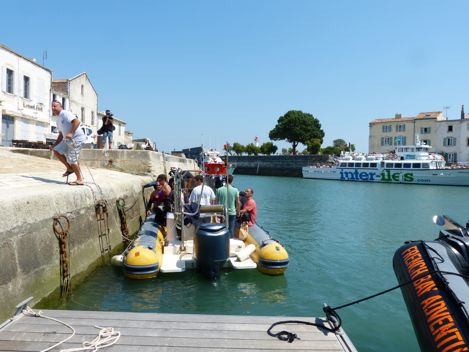 1er août 2013 - Réintroduction homard