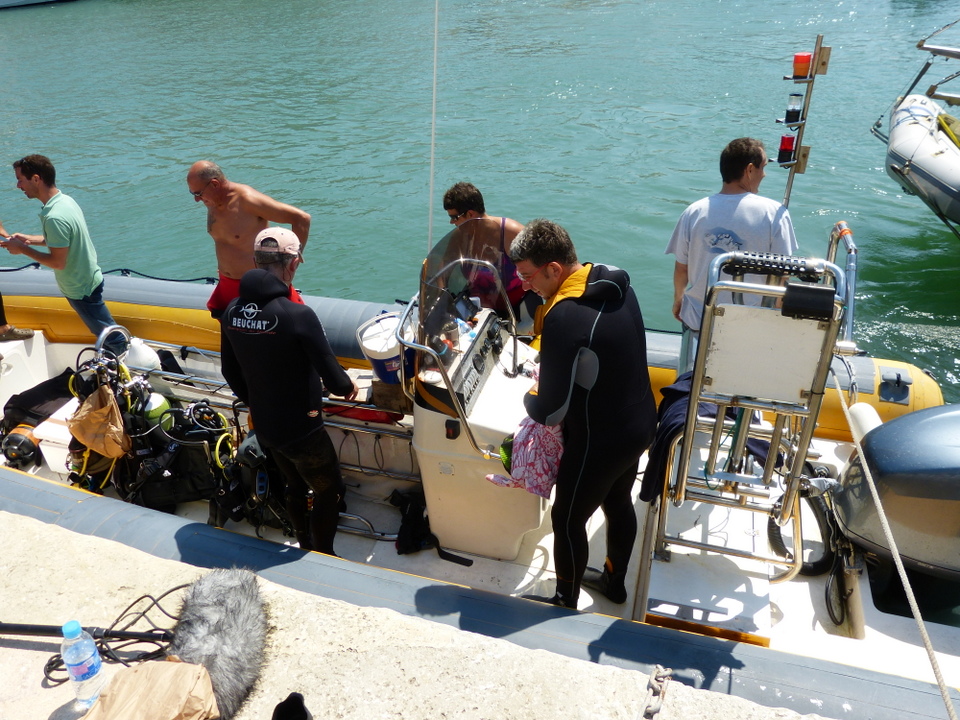 1er août 2013 - Réintroduction homard