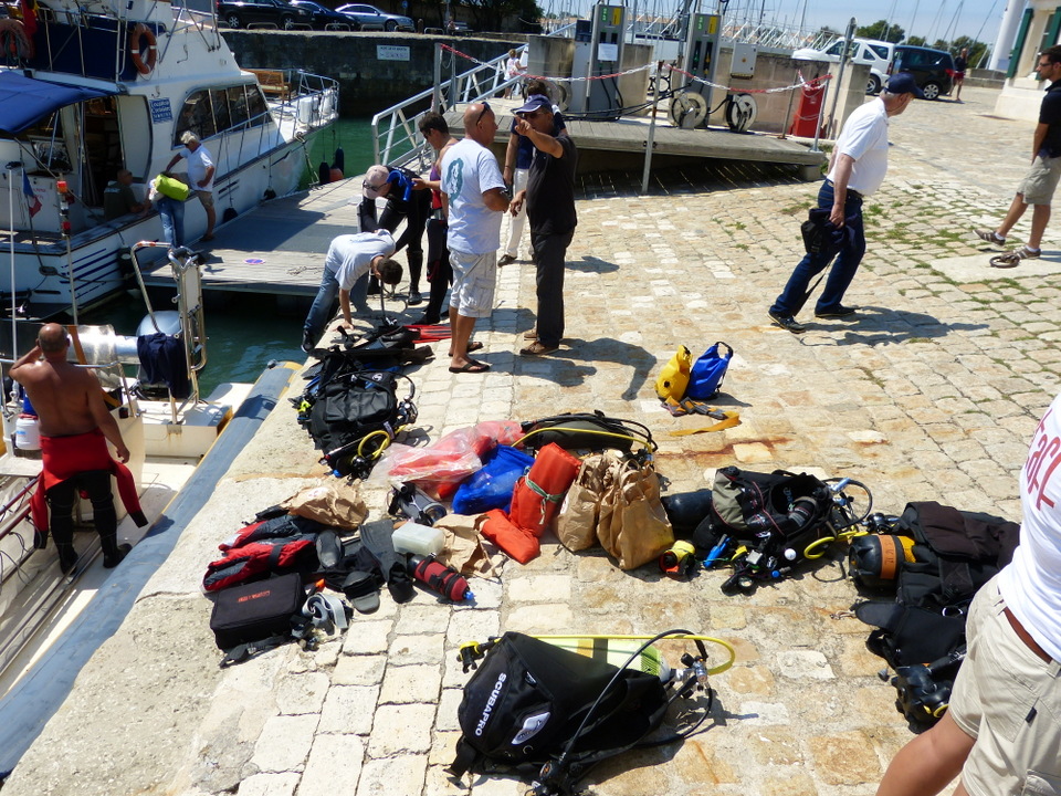 1er août 2013 - Réintroduction homard