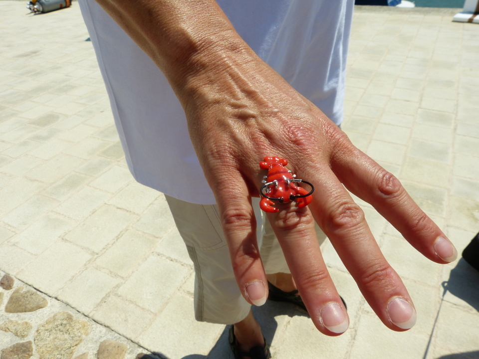 1er août 2013 - Réintroduction homard