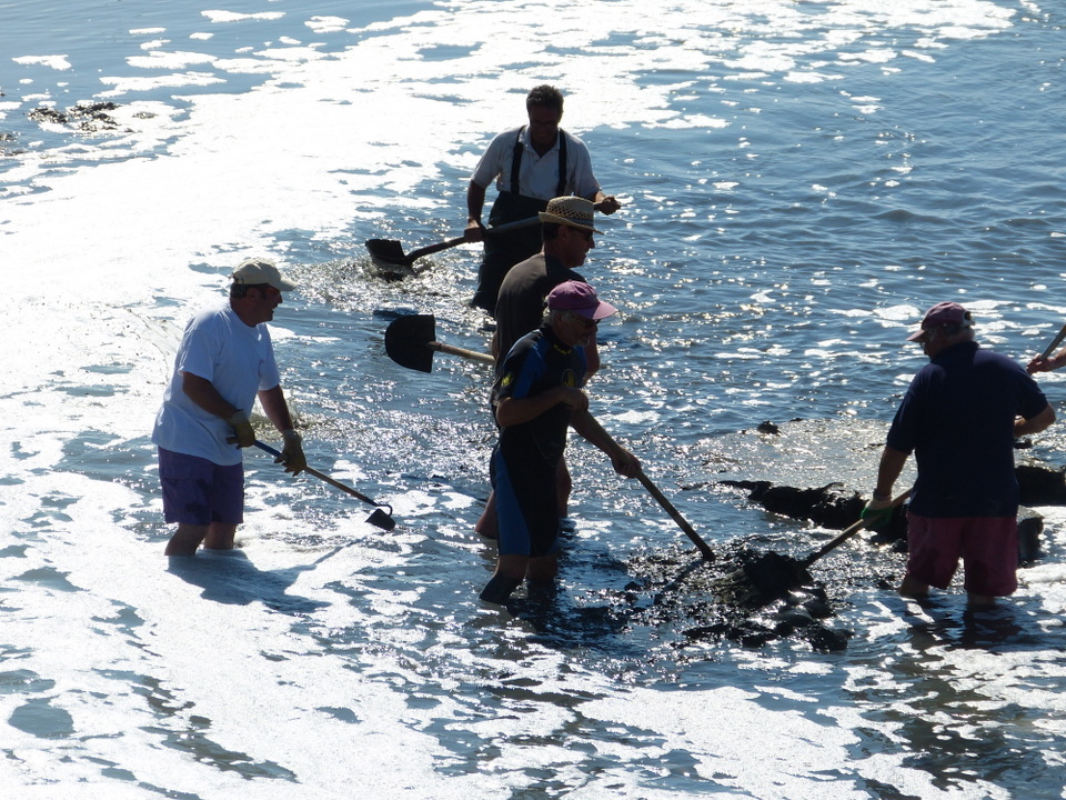 Loix - Désenvasage du port - 8 août 2013