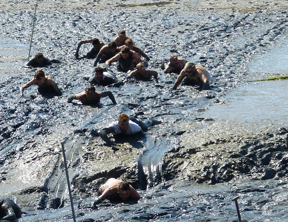 Loix - Journée du port - Course des hommes - 8 août 2013